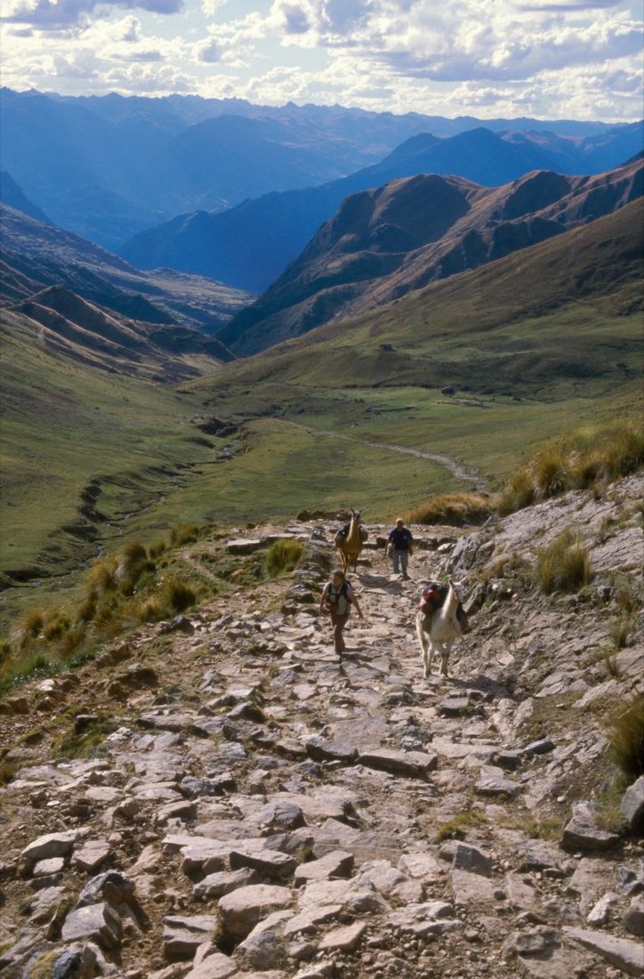 Úsek Qhapaq Ñanu („královské cesty“), sítě inckých cest spojujících Cuzco se všemi částmi říše, v Peru východně od Cordillery Blanky. Po cestě jdou turisté s lamami.