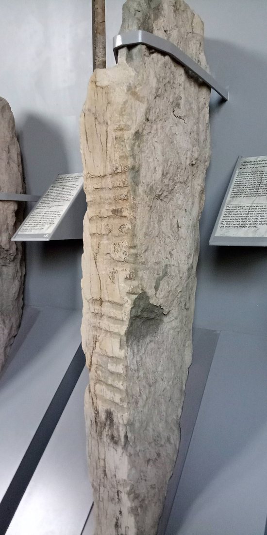 Ogamický kámen ze sbírky University College Cork (UCC 17): čárky a zářezy vedou podél hrany kamene, která slouží jako středová linie písma.