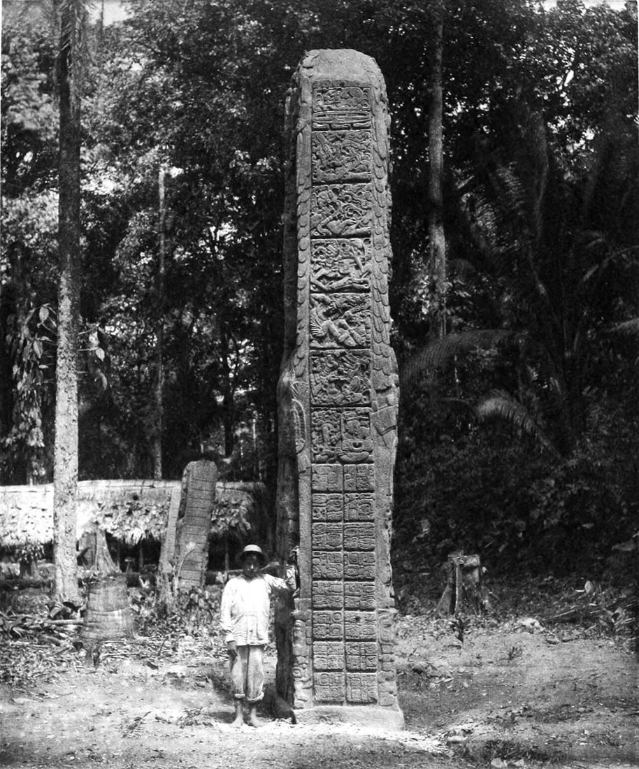 Stéla D v Quiriguá (Guatemala) se sloupci znaků na fotografii Alfreda P. Maudslaye z konce 19. století.